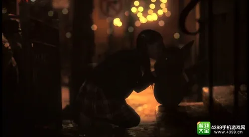 星欧娱乐APP下载视觉横幅